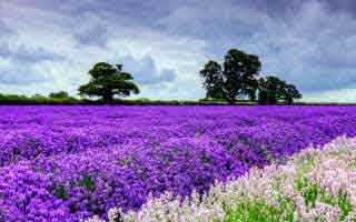 冷门但关键：91网址导航的跳转页面的小改动